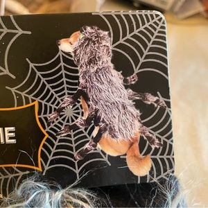 Spider 🕷️ Medium Dog NWT Costume